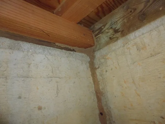 「床下コンクリートだから安心」は間違い？シロアリの脅威と対策