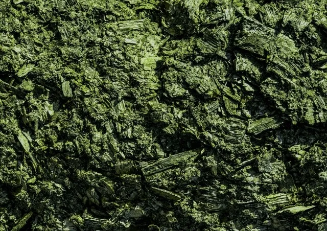 害獣対策に「タール」は効く？その効果と使い方をプロが解説