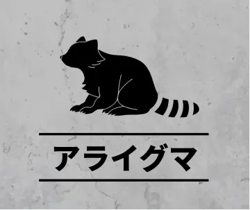 アライグマの害獣駆除