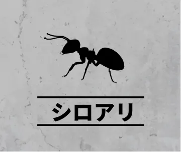 シロアリの害獣駆除