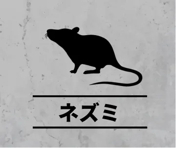 ネズミの害獣駆除
